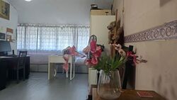 Thomson Garden Estate (D20), Terrace #573548491
